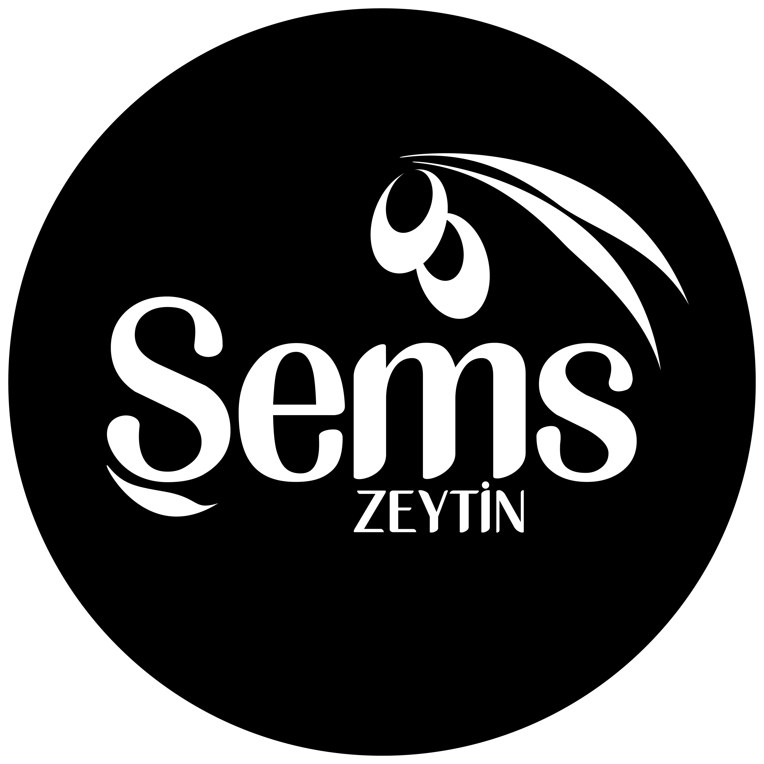 Şems Yağlı Siyah Zeytin -L-BOY 1 KĞ